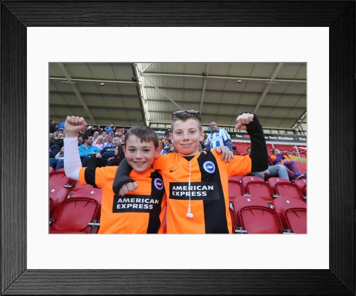 Framed Print : Brighton and Hove Albion Fans in Full Force: Rotherham United Match, April 2015 Framed Print : Brighton and Hove Albion Fans in Full Force: Rotherham United Match, April 2015
