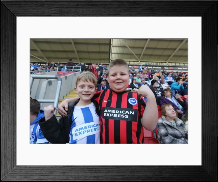 Framed Print : Brighton and Hove Albion Fans in Full Force: Rotherham United Match, April 2015 Framed Print : Brighton and Hove Albion Fans in Full Force: Rotherham United Match, April 2015
