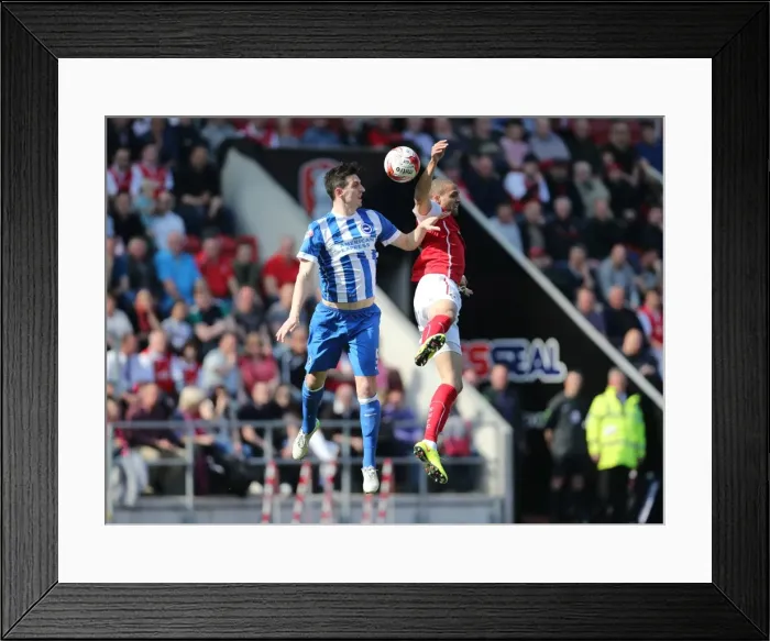 Framed Print : Lewis Dunk: In Action Against Rotherham United, Sky Bet Championship 2015 Framed Print : Lewis Dunk: In Action Against Rotherham United, Sky Bet Championship 2015