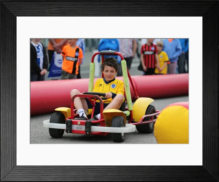 Framed Print : Young Seagulls of Brighton & Hove Albion FC: Open Training Day (April 8, 2015) Framed Print : Young Seagulls of Brighton & Hove Albion FC: Open Training Day (April 8, 2015)