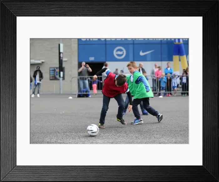 Framed Print : Seagulls Priority Open Training Day: Young Seagulls of Brighton & Hove Albion FC Framed Print : Seagulls Priority Open Training Day: Young Seagulls of Brighton & Hove Albion FC