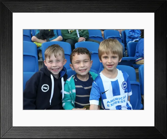 Framed Print : Seagulls Priority Training Day at Amex Stadium, April 8, 2015 Framed Print : Seagulls Priority Training Day at Amex Stadium, April 8, 2015