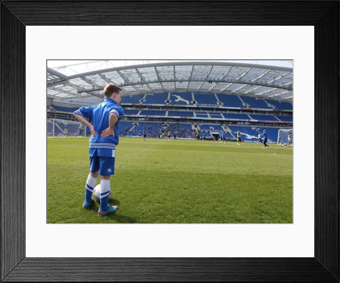 Framed Print : Seagulls Priority Open Training Day at Amex Stadium, April 8, 2015