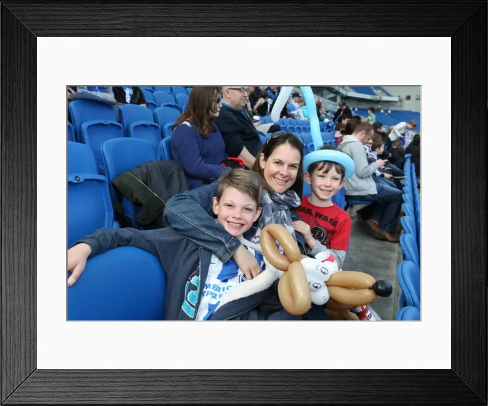 Framed Print : Seagulls Priority Open Training Day at Amex Community Stadium, April 8, 2015 Framed Print : Seagulls Priority Open Training Day at Amex Community Stadium, April 8, 2015