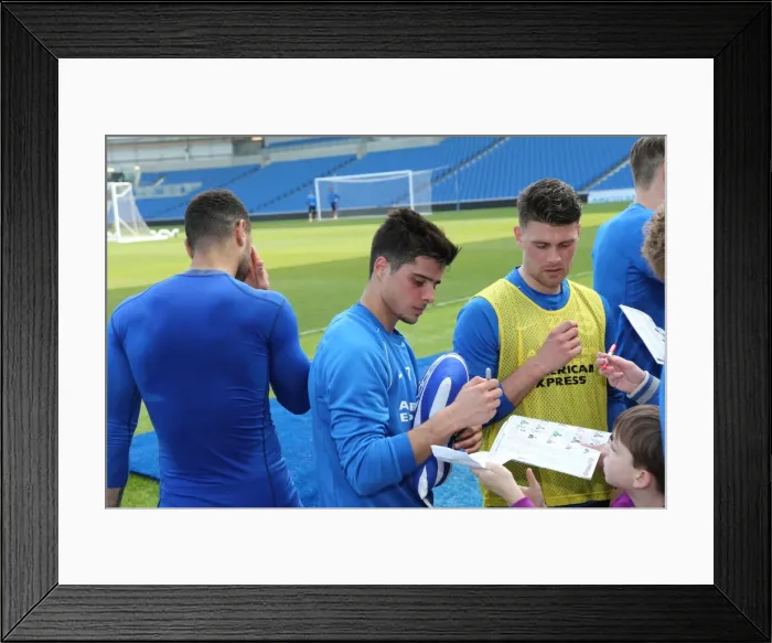 Framed Print : Seagulls Priority Training Day at Amex Stadium, April 8, 2015 Framed Print : Seagulls Priority Training Day at Amex Stadium, April 8, 2015
