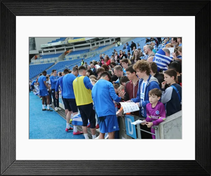 Framed Print : Seagulls Priority Training Day at Amex Stadium, April 8, 2015 Framed Print : Seagulls Priority Training Day at Amex Stadium, April 8, 2015