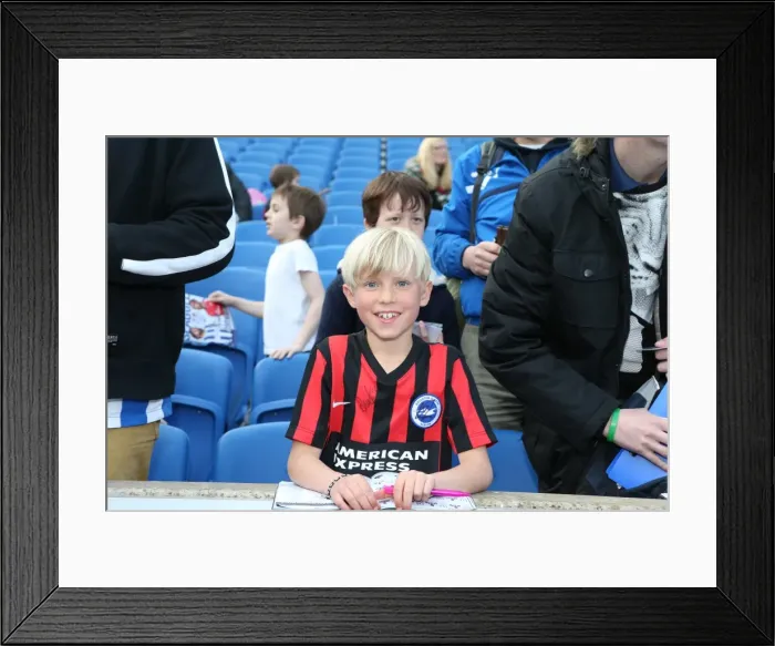 Framed Print : Seagulls Priority Training Day at Amex Stadium, April 8, 2015 Framed Print : Seagulls Priority Training Day at Amex Stadium, April 8, 2015