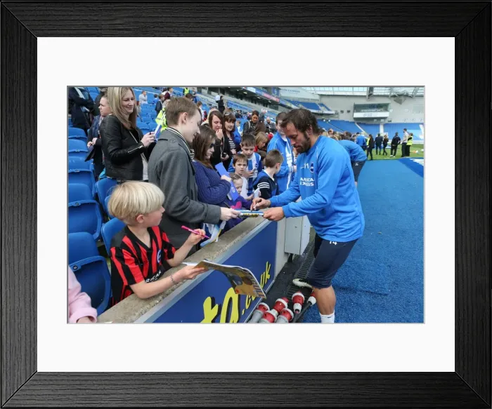 Framed Print : Seagulls Priority Training Day at Amex Stadium, April 8, 2015 Framed Print : Seagulls Priority Training Day at Amex Stadium, April 8, 2015