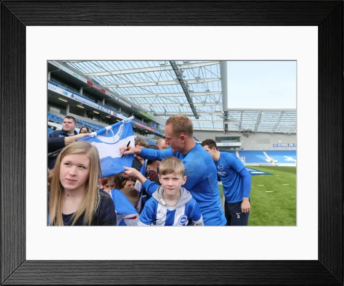 Framed Print : Seagulls Priority Open Training Day at Amex Stadium, April 8, 2015 Framed Print : Seagulls Priority Open Training Day at Amex Stadium, April 8, 2015