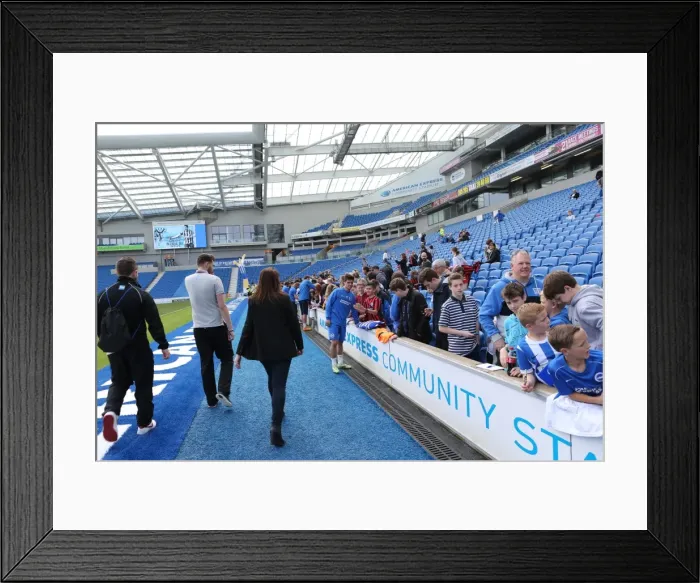 Framed Print : Seagulls Priority Training Day at Amex Stadium, April 8, 2015 Framed Print : Seagulls Priority Training Day at Amex Stadium, April 8, 2015