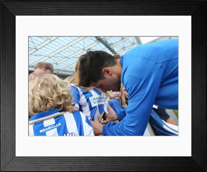 Framed Print : Seagulls Priority Open Training Day at Amex Stadium, April 8, 2015 Framed Print : Seagulls Priority Open Training Day at Amex Stadium, April 8, 2015