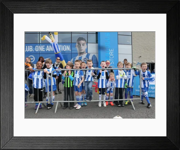 Framed Print : Seagulls Priority Open Training Day at Amex Stadium, April 8, 2015 Framed Print : Seagulls Priority Open Training Day at Amex Stadium, April 8, 2015