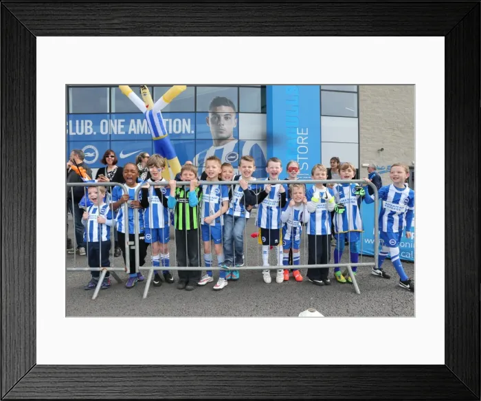Framed Print : Seagulls Priority Training Day at Amex Stadium, April 8, 2015 Framed Print : Seagulls Priority Training Day at Amex Stadium, April 8, 2015