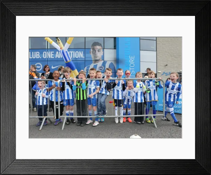 Framed Print : Seagulls Priority Open Training Day at Amex Stadium, April 8, 2015 Framed Print : Seagulls Priority Open Training Day at Amex Stadium, April 8, 2015