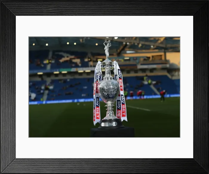 Framed Print : Brighton and Hove Albion Lift the Championship Trophy: AFC Bournemouth 10APR15 Framed Print : Brighton and Hove Albion Lift the Championship Trophy: AFC Bournemouth 10APR15