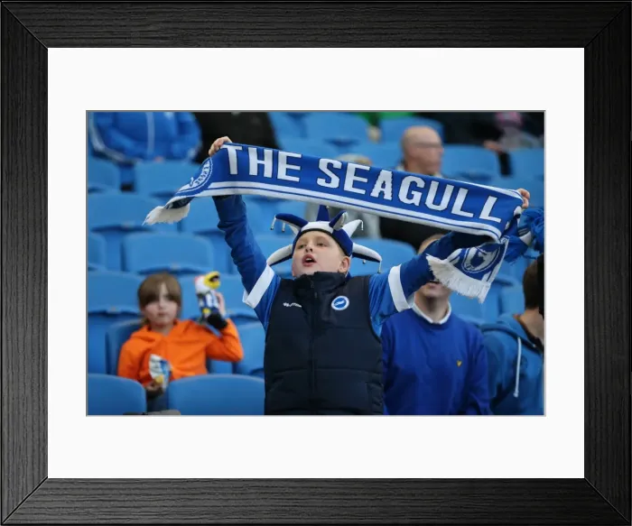 Framed Print : Brighton and Hove Albion Fans in Full Throat: Sky Bet Championship Showdown vs. AFC Bournemouth (10APR15) Framed Print : Brighton and Hove Albion Fans in Full Throat: Sky Bet Championship Showdown vs. AFC Bournemouth (10APR15)