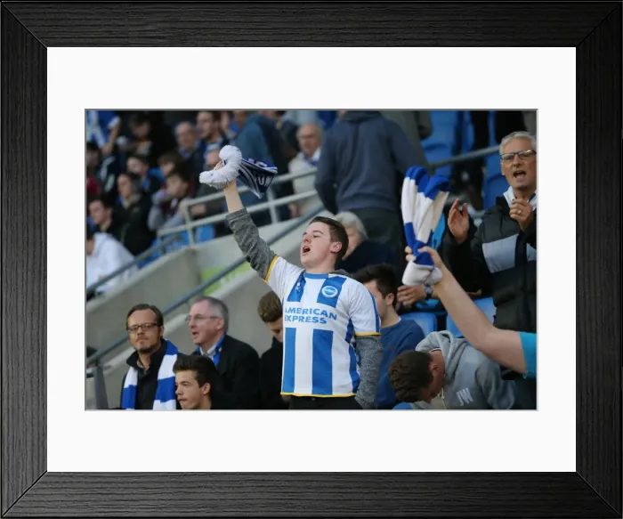 Framed Print : Passionate Showdown: Brighton & Hove Albion vs AFC Bournemouth (10APR15)