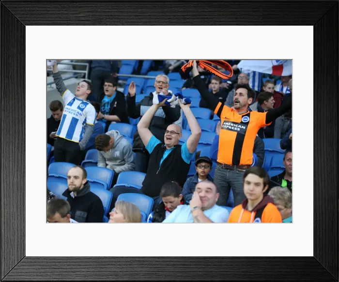 Framed Print : Brighton and Hove Albion Fans in Full Swing: AFC Bournemouth Clash at American Express Community Stadium (10APR15) Framed Print : Brighton and Hove Albion Fans in Full Swing: AFC Bournemouth Clash at American Express Community Stadium (10APR15)