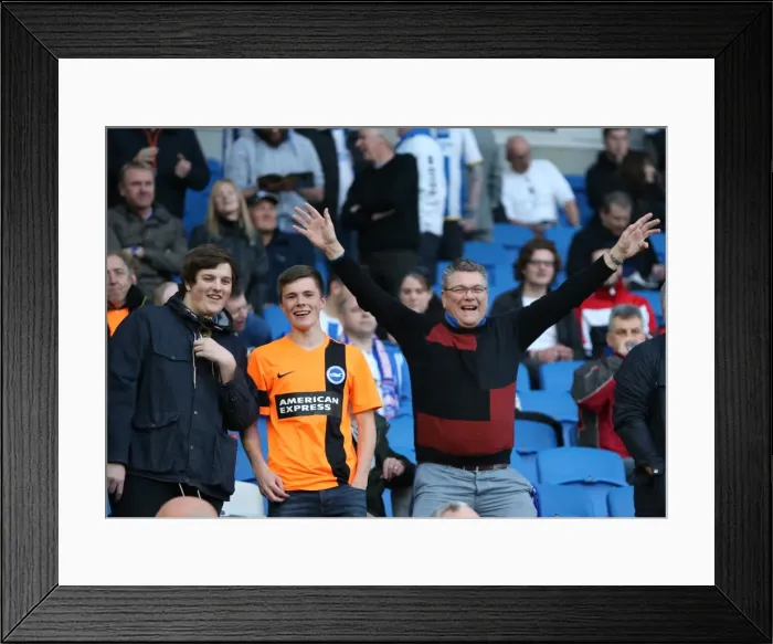 Framed Print : Brighton and Hove Albion Fans in Action: Sky Bet Championship Match vs AFC Bournemouth (10APR15) Framed Print : Brighton and Hove Albion Fans in Action: Sky Bet Championship Match vs AFC Bournemouth (10APR15)