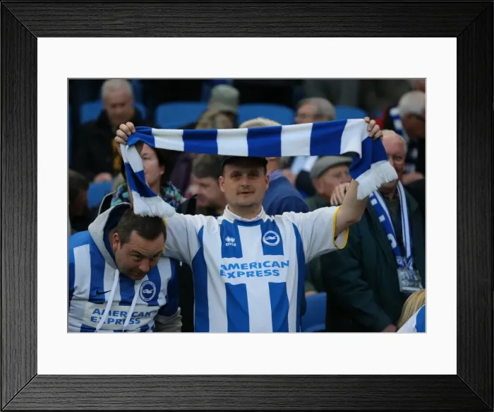 Framed Print : Brighton and Hove Albion FC: Unwavering Support Against AFC Bournemouth (10APR15) Framed Print : Brighton and Hove Albion FC: Unwavering Support Against AFC Bournemouth (10APR15)