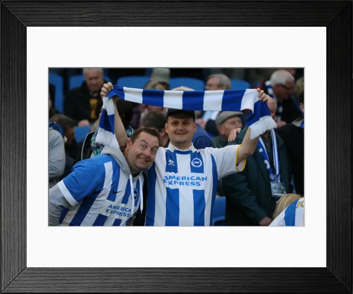 Framed Print : Brighton and Hove Albion Fans in Action during the Sky Bet Championship Match vs AFC Bournemouth (10 April 2015)