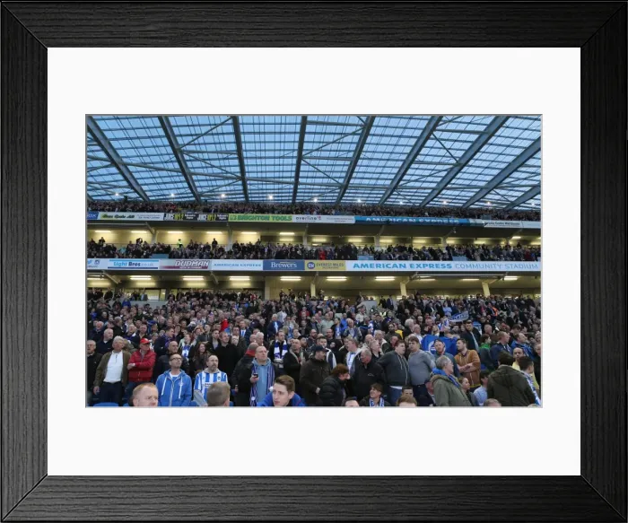 Framed Print : Brighton and Hove Albion Fans in Full Force: AFC Bournemouth Clash, American Express Community Stadium, 10 April 2015 Framed Print : Brighton and Hove Albion Fans in Full Force: AFC Bournemouth Clash, American Express Community Stadium, 10 April 2015