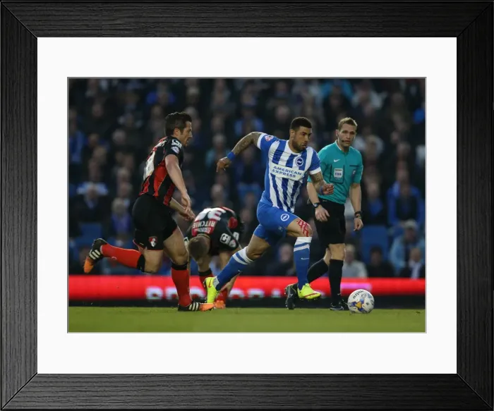 Framed Print : Brighton and Hove Albion's Leon Best in Action Against AFC Bournemouth (April 10, 2015) Framed Print : Brighton and Hove Albion's Leon Best in Action Against AFC Bournemouth (April 10, 2015)