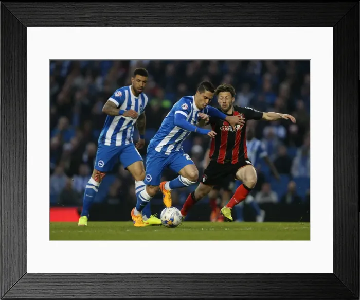 Framed Print : Brighton's Beram Kayal in Action Against Bournemouth (10APR15) Framed Print : Brighton's Beram Kayal in Action Against Bournemouth (10APR15)