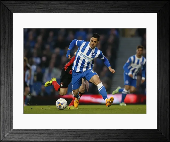 Framed Print : Brighton's Kayal in Action Against Bournemouth (10APR15) Framed Print : Brighton's Kayal in Action Against Bournemouth (10APR15)