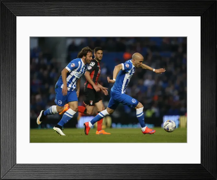 Framed Print : Bruno Saltor in Action: Brighton and Hove Albion vs AFC Bournemouth, Sky Bet Championship, American Express Community Stadium, 10 April 2015 Framed Print : Bruno Saltor in Action: Brighton and Hove Albion vs AFC Bournemouth, Sky Bet Championship, American Express Community Stadium, 10 April 2015