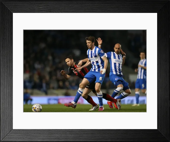 Framed Print : Dale Stephens in Action: Brighton and Hove Albion vs AFC Bournemouth (April 10, 2015) Framed Print : Dale Stephens in Action: Brighton and Hove Albion vs AFC Bournemouth (April 10, 2015)
