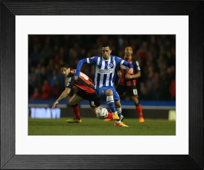 Framed Print : Brighton's Beram Kayal in Action Against AFC Bournemouth (April 2015) Framed Print : Brighton's Beram Kayal in Action Against AFC Bournemouth (April 2015)