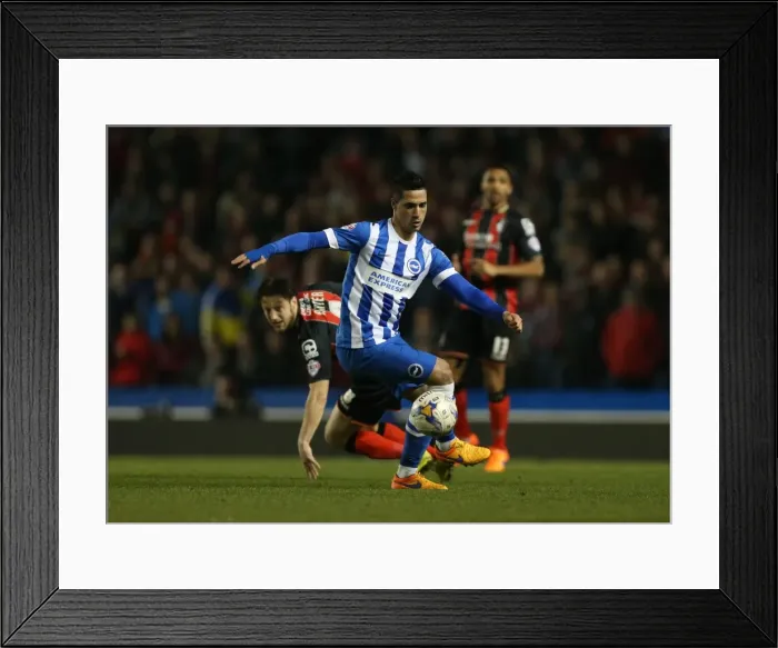 Framed Print : Brighton Midfielder Beram Kayal in Action Against AFC Bournemouth (10APR15) Framed Print : Brighton Midfielder Beram Kayal in Action Against AFC Bournemouth (10APR15)