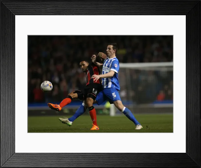 Framed Print : Lewis Dunk in Action: Brighton and Hove Albion vs. AFC Bournemouth (April 2015) Framed Print : Lewis Dunk in Action: Brighton and Hove Albion vs. AFC Bournemouth (April 2015)