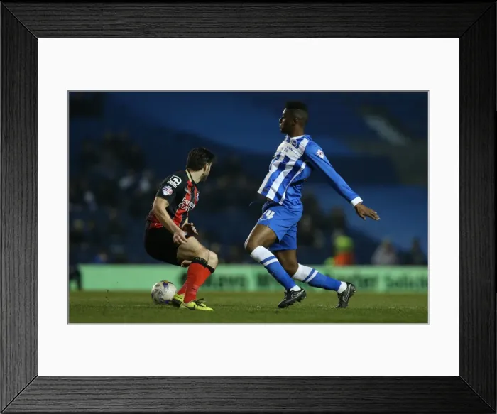 Framed Print : Brighton Midfielder Rohan Ince in Action against AFC Bournemouth (April 2015) Framed Print : Brighton Midfielder Rohan Ince in Action against AFC Bournemouth (April 2015)