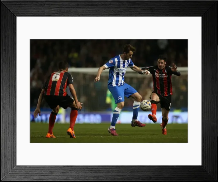 Framed Print : Brighton Midfielder Dale Stephens in Action Against AFC Bournemouth (April 2015) Framed Print : Brighton Midfielder Dale Stephens in Action Against AFC Bournemouth (April 2015)