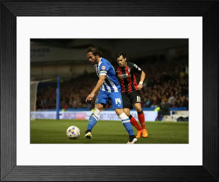 Framed Print : Brighton & Hove Albion vs AFC Bournemouth: Inigo Calderon in Action (Sky Bet Championship, 10APR15) Framed Print : Brighton & Hove Albion vs AFC Bournemouth: Inigo Calderon in Action (Sky Bet Championship, 10APR15)