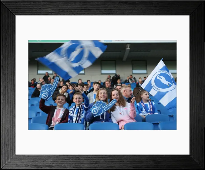 Framed Print : Brighton and Hove Albion FC: A Sea of Colors as Fans Roar Against Huddersfield Town (14APR15) Framed Print : Brighton and Hove Albion FC: A Sea of Colors as Fans Roar Against Huddersfield Town (14APR15)