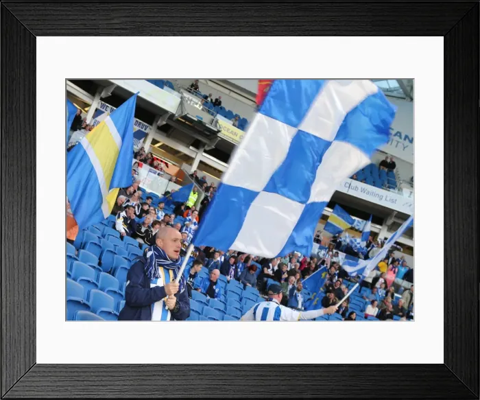 Framed Print : Sea of Colors: Brighton and Hove Albion Fans in Full Force (14APR15) Framed Print : Sea of Colors: Brighton and Hove Albion Fans in Full Force (14APR15)