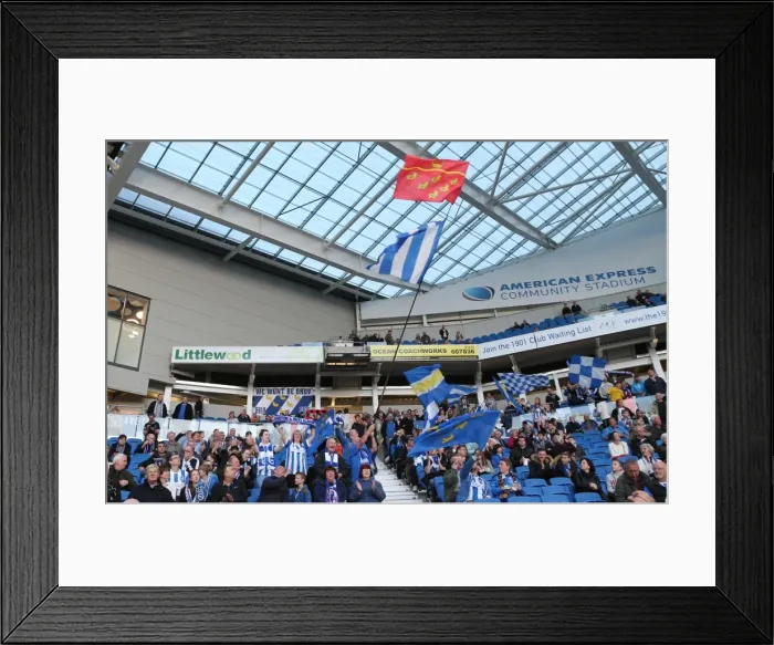 Framed Print : Brighton and Hove Albion FC: A Sea of Colors - Fans in Full Force (14APR15) vs. Huddersfield Town Framed Print : Brighton and Hove Albion FC: A Sea of Colors - Fans in Full Force (14APR15) vs. Huddersfield Town