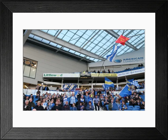 Framed Print : Brighton and Hove Albion Fans in Full Swing: A Sea of Colors vs. Huddersfield Town (14APR15) Framed Print : Brighton and Hove Albion Fans in Full Swing: A Sea of Colors vs. Huddersfield Town (14APR15)