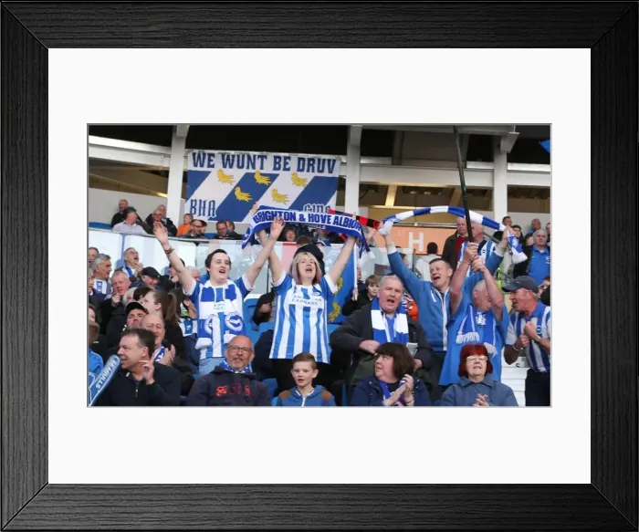 Framed Print : Brighton and Hove Albion FC: A Sea of Colors as Fans Roar Against Huddersfield Town (14APR15) Framed Print : Brighton and Hove Albion FC: A Sea of Colors as Fans Roar Against Huddersfield Town (14APR15)