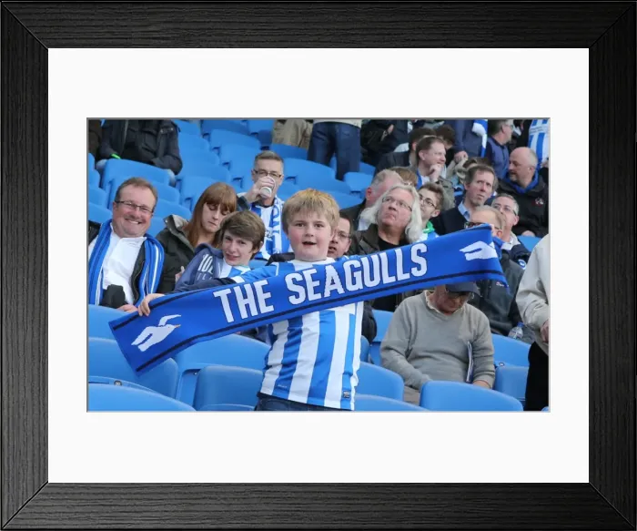 Framed Print : Sea of Colors: Brighton and Hove Albion Fans in Full Force (14APR15) Framed Print : Sea of Colors: Brighton and Hove Albion Fans in Full Force (14APR15)