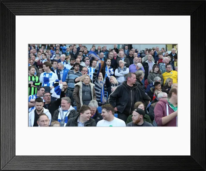Framed Print : Brighton and Hove Albion Fans in Full Force: A Sea of Colors Against Huddersfield Town (14APR15) Framed Print : Brighton and Hove Albion Fans in Full Force: A Sea of Colors Against Huddersfield Town (14APR15)