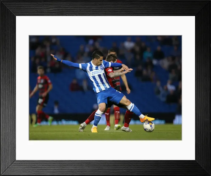 Framed Print : Brighton's Kayal in Action Against Huddersfield (14APR15) Framed Print : Brighton's Kayal in Action Against Huddersfield (14APR15)