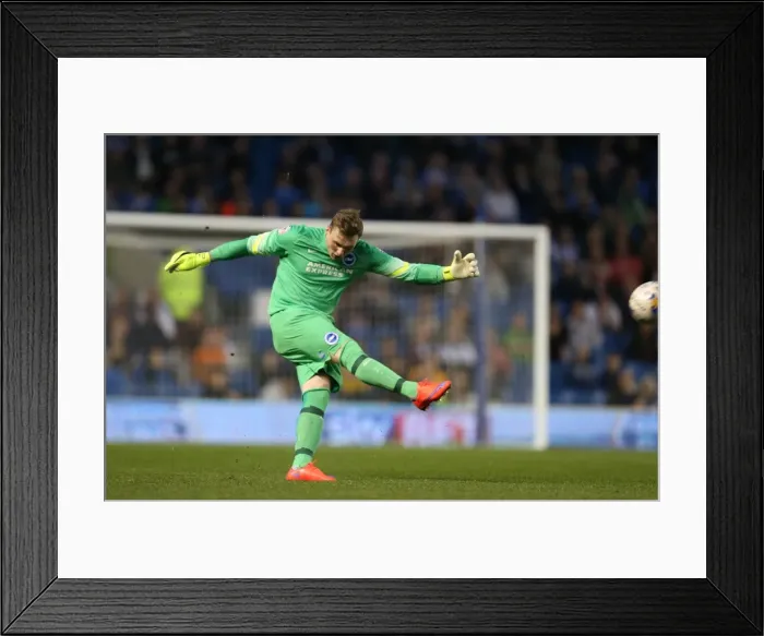Framed Print : David Stockdale in Action: Brighton and Hove Albion vs Huddersfield Town AFC, Sky Bet Championship, American Express Community Stadium, 14th April 2015 Framed Print : David Stockdale in Action: Brighton and Hove Albion vs Huddersfield Town AFC, Sky Bet Championship, American Express Community Stadium, 14th April 2015