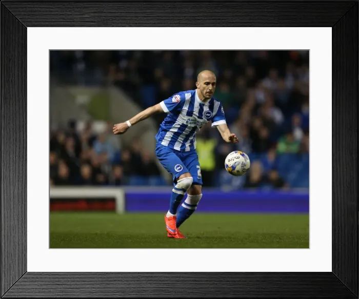 Framed Print : Bruno Saltor in Action: Brighton and Hove Albion vs. Huddersfield Town, April 2015 Framed Print : Bruno Saltor in Action: Brighton and Hove Albion vs. Huddersfield Town, April 2015