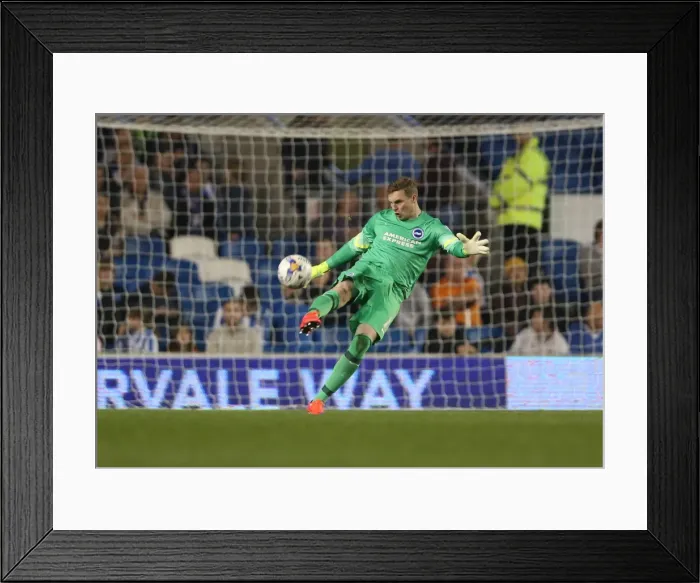 Framed Print : David Stockdale: In Action for Brighton and Hove Albion vs Huddersfield Town AFC, Sky Bet Championship, 14 April 2015 Framed Print : David Stockdale: In Action for Brighton and Hove Albion vs Huddersfield Town AFC, Sky Bet Championship, 14 April 2015