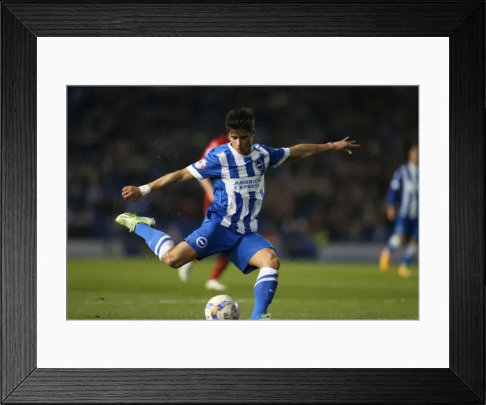 Framed Print : Brighton Midfielder Joao Carlos Teixeira Fires a Shot Against Huddersfield Town, Sky Bet Championship 2015 Framed Print : Brighton Midfielder Joao Carlos Teixeira Fires a Shot Against Huddersfield Town, Sky Bet Championship 2015