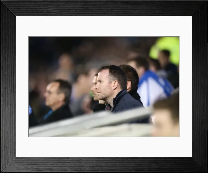 Framed Print : Brighton and Hove Albion Fans in Full Force: Sky Bet Championship Match vs Huddersfield Town (14 April 2015) Framed Print : Brighton and Hove Albion Fans in Full Force: Sky Bet Championship Match vs Huddersfield Town (14 April 2015)